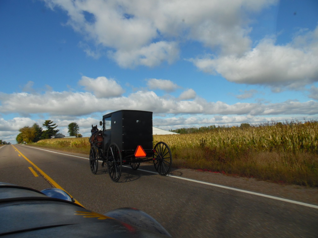 One of many Amish buggy's we came across..